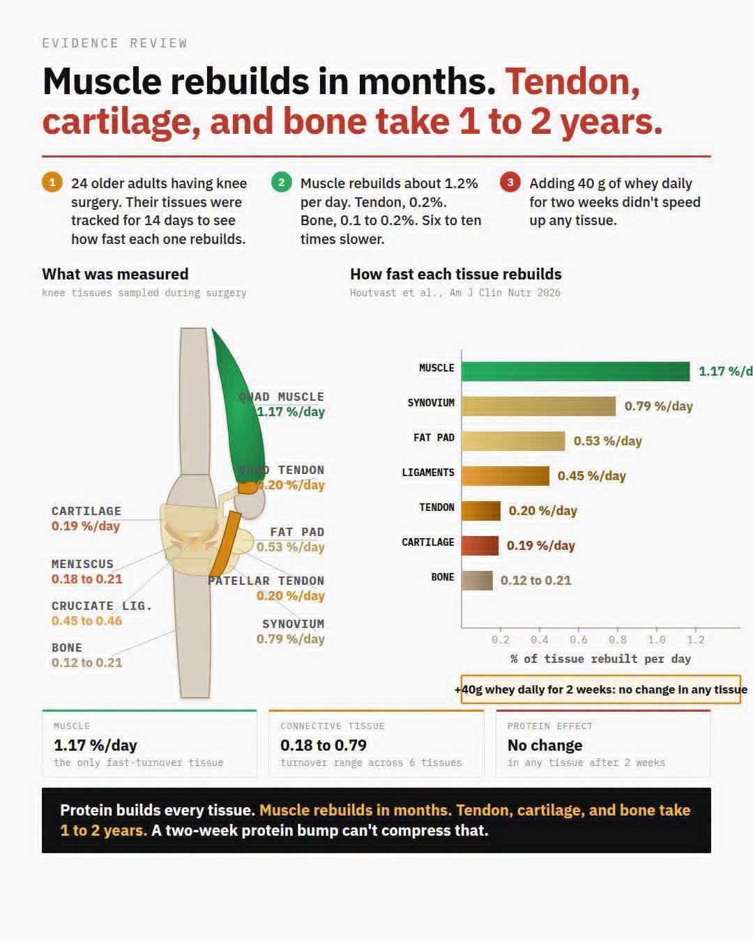 Bone and tissue repair chart